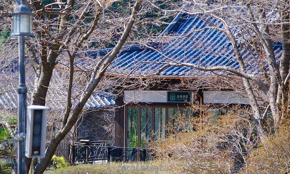 晨靜樹木園攻略|2025門票價格、交通方式、實際參觀照片分享 - 第17張圖 晨靜樹木園咖啡廳