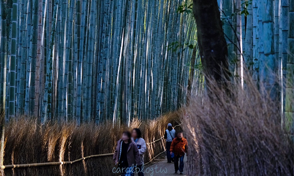 御髮神社御守|日本唯一!透明御守超可愛、就在嵐山竹林小徑 - 第5張圖 御髮神社交通方式 在嵐山竹林小徑旁