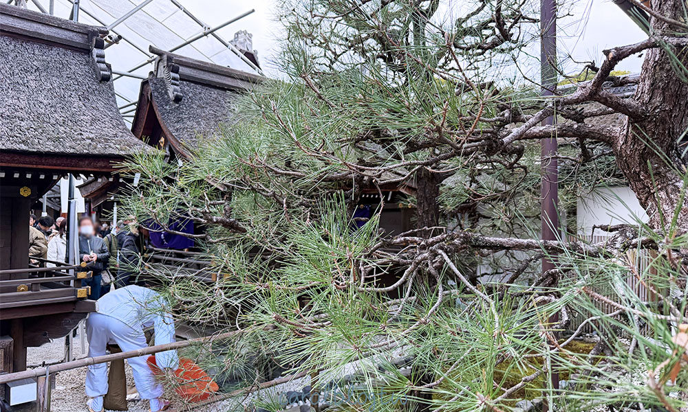 京都下鴨神社御守|超美四季御守、戒指御守、特殊參拜方式、表參道交通 - 第15張圖 下鴨神社生肖小神社
