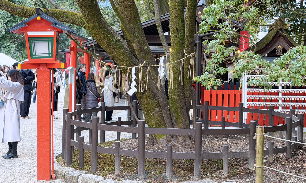 京都下鴨神社御守|超美四季御守、戒指御守、特殊參拜方式、表參道交通 - 第6張圖 下鴨神社相生社
