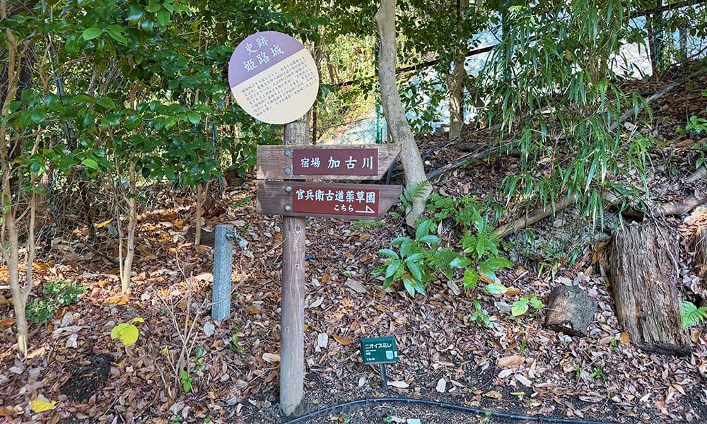 太閤之湯對面的公園