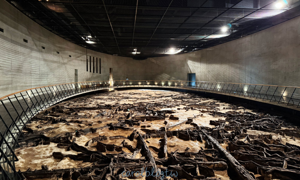 地底之森博物館地下展區全貌