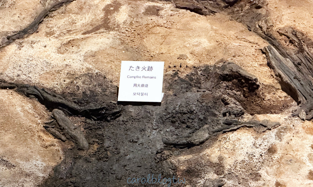 地底之森博物館 2萬年前人類生活痕跡