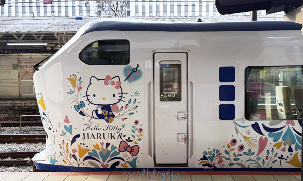 HARUKA 列車外觀