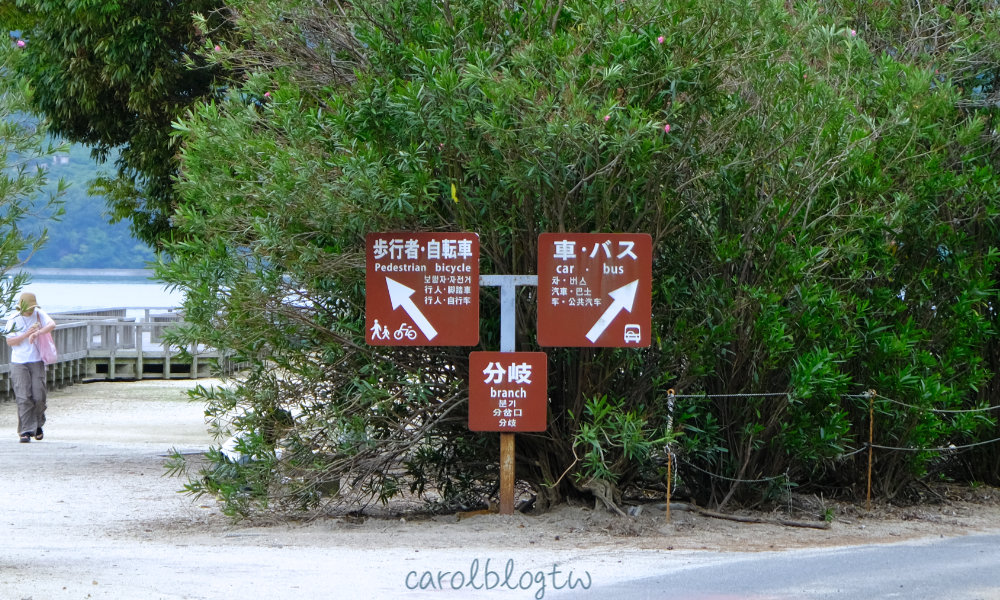 大久野島上的道路和人行道