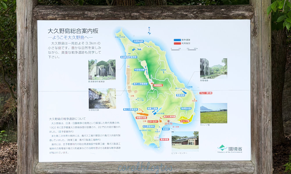 兔子島地圖