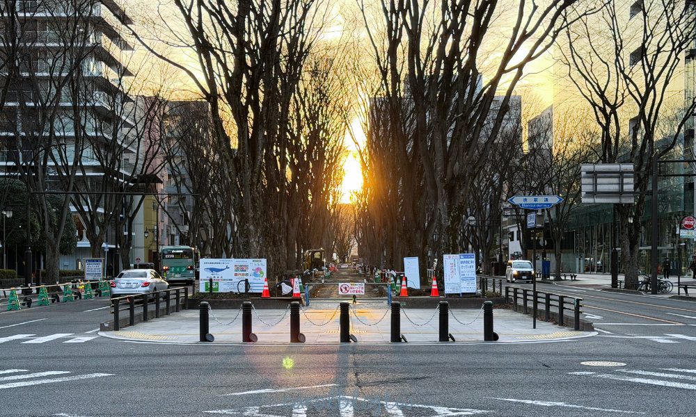 仙台定禪寺通街景